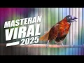 Download Lagu MASTERAN VIRAL TEPUS KEPALA ABU ABU