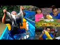 Download Lagu Setelah Panen Kakap Putih Dan Kaki Sembuh Dari Infeksi Langsung Masak Pepes Kakap Putih