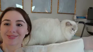 Spend the Evening with Me