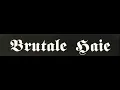 Download Lagu Brutale Haie - Journaille