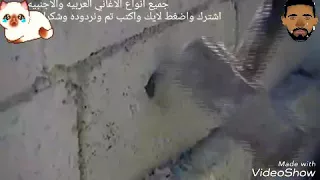 مقطع محزن من مسلسل بكره احلى  حلمي انهدم  دندنها