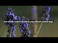 status wa jatuh cinta 30 detik romantis terbaru