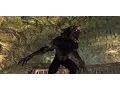 Animal Transformation in Games Compilation