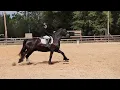 Download Lagu Julie Palmer riding Unico Fan Ryp-Ein USEF Training Level 2