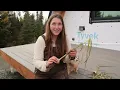 Final Harvest Before Winter | Harvesting & Preserving Our Alaska Garden