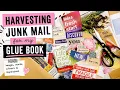 Harvesting Junk Mail for my Glue Book