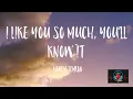 Download Lagu Honey Jemlan - I Like You So Much, You'll Know It (Lyric Video) | Music Vibes