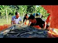 Download Lagu Harvesting Fish with Tieu Vi and Mr. Hung - The Results After Many Days of Care!