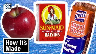 Back to School Lunch Snacks 🎒How It's Made | Science Channel