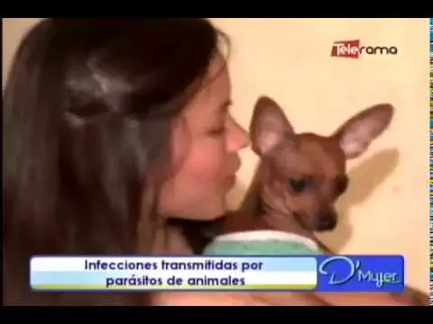 Infecciones transmitidas por parásitos de animales