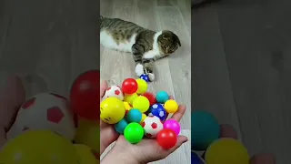Cat Barsik 😺 More Marbles 🔥❤ Satisfying reverse video