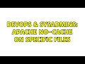 DevOps SysAdmins Apache no-cache on specific files 2 Solutions