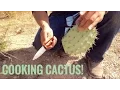 Desert Survival Food Prickly Pear Cactus Nopales - Junkyard Fox