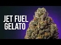 The Gospel of Jet Fuel Gelato The Cannabis Bible Chapter 10 Sacred Strain Review