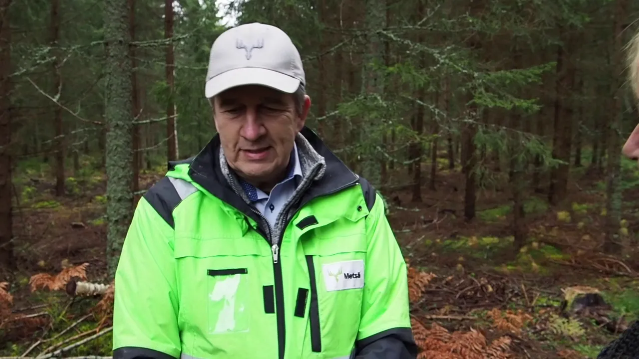 Finnish sustainable forestry