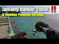 Download Lagu Ga Nyangka ‼️ Ternyata di Dermaga ini di Huni Ikan Besar ‼️ Eksplore Pulau Panjang Jepara