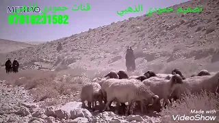 موسيقي حزينه   مع قصه حب   حزينة  بدويه دندنها