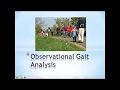 Observational Gait Analysis Education for Health and Fitness Professionals