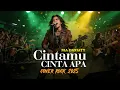 Lagu CINTAMU CINTA APA - NIA DANIATY | COVER ROCK VERSION 2025