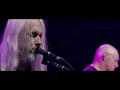 Dinosaur Jr- Feel The Pain