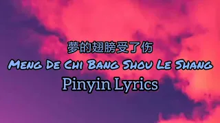 Download 蒋雪儿 Jiang Xueer - 夢的翅膀受了伤 Meng De Chi Bang Shou Le Shang | Đôi Cánh Ước Mơ Bị Thương [Pinyin Lyrics] MP3