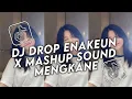 Lagu DJ DROP ENAKEUN X MASHUP SOUND MENGKANE COCOK BUAT DI MOBIL FULL BASS VIRAL TIKTOK 2025