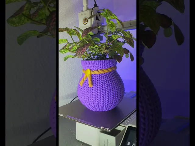 Knitted Roped Vase Planter video thumbnail