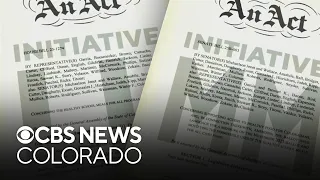 Colorado political analysts share predictions on if statewide ballot measures will pass