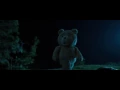 Ted 2 platacion de yerba