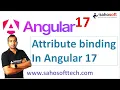 Attribute binding in Angular 17 Data Binding Angular 17 Tutorials in Hindi
