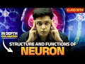 Structure and Functions Of Neuron Control and Coordination Class 10 science Prashant kirad