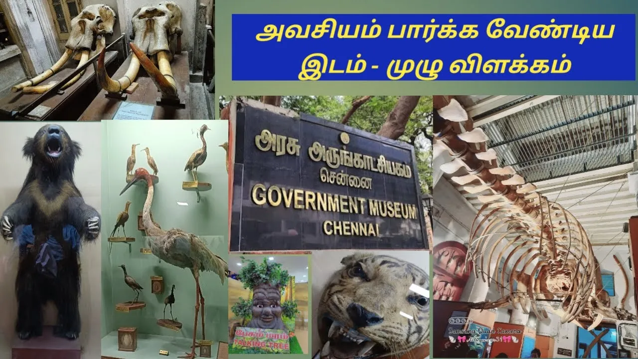 தேசிய அருங்காட்சியகம் - முதன்மை கட்டிடம்