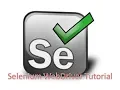 Selenium Week 6 Saturday - Selenium WebDriver Tutorial