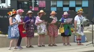 Appleton Area NOW rallies for women s rights equal rights amendment Breanna Reinhart