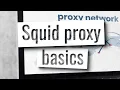 Squid proxy server - Installation and how to allow access and block websites