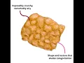 The anatomy of a SNACKLIN