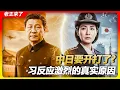 老王来了：中日要开打了? 揭露中国媒体反应如此激烈真实原因  #习近平 #高市早苗  #中日  #老王来了
