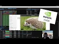 Cuda Dev Hello World