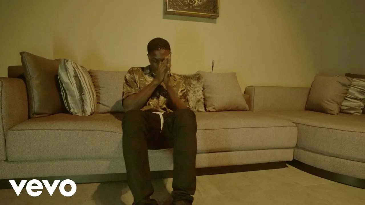 Cinematographer / Editor / Colorist