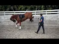Dr Cesar Parra - Uncovering this Olympic Trainer s Methods