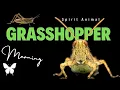 Grasshopper Spirit Animal Grasshopper Spirit Guide Grasshopper Symbolism