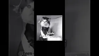 ١٥ يونيو ٢٠٢٥ 