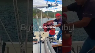 Lifting Westerbeak out of Tartan 34C #sailing #travel #sailboat  #cruising #boatwork #refit