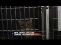 New Animal Shelter Coming to Longview