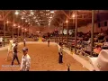 Dixie Horse Auction - Day 1