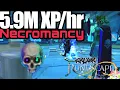 5 9M Necromancy on DXP RS3