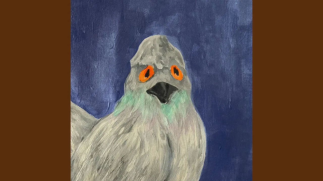 Pigeon Pigeon