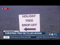 Don t trash it Pasco parks want your Christmas tree