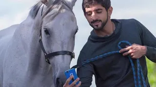 راشد الماجد   فرصة سعيدة   بطيء دندنها