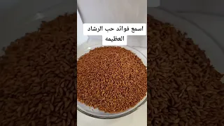فوائد حب الرشاد دندنها